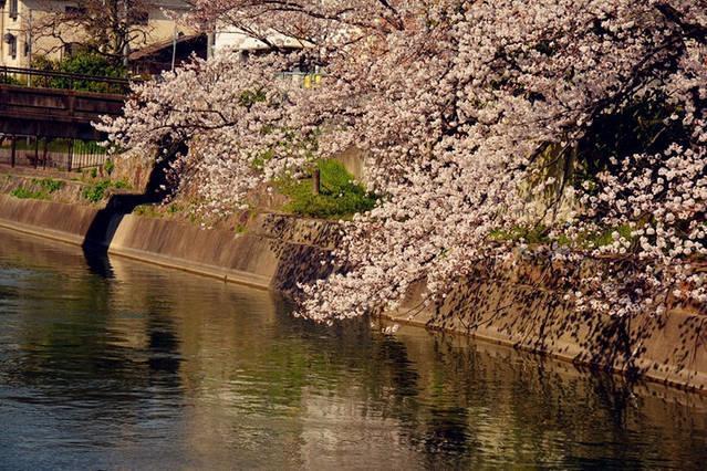 Art Stay In Tofukuji Kyoto Bagian luar foto